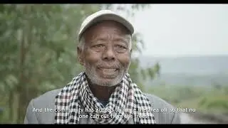 WB PSNP: Sidama, Ethiopia 3