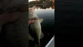 Catching FISH In a Barrel (Fall Time)