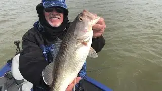Showing Lake Murray Map & Lake Monticello Fishing