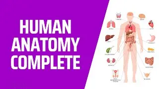 🔴 Inside Us Live: Human Anatomy & Organ Systems