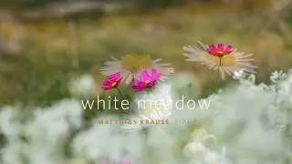 Matthias Krauss - White Meadow