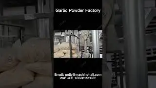 How does fresh garlic become garlic powder?  #garlicpowder  #Email: polly@machinehall.com