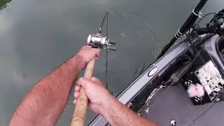 Musky Following the double 10 inline bucktail spinner