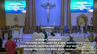 Blessed Trinity Catholic Church Live Stream