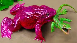 Stop Motion ASMR  Colorful Frogs In Search of Unbelievable Baby Lizard Cooking in the Primordial Mud