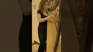 Bryan Boru's March #harp celticharp#gingerrockharp#redhead#gingerhead#BryanBoru'sMarch #acoustic