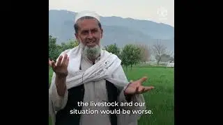 Farhad, a wheat farmer assisted by FAO in Afghanistan, hopes for a plentiful harvest
