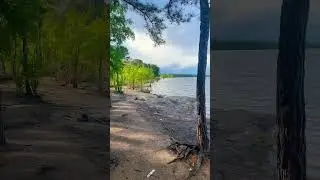 Jordan Lake #lake #wildlife