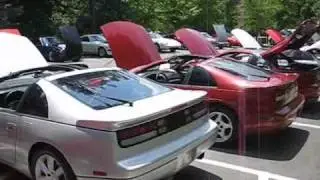 Premier Z Performance Picnic