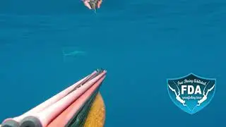 TENERIFE SPEARFISHING giman sub whaoo