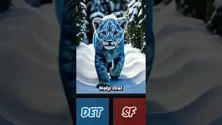 NFL Picks Animated | Detroit Lions vs San Francisco 49ers | Week 17 MNF Prediction