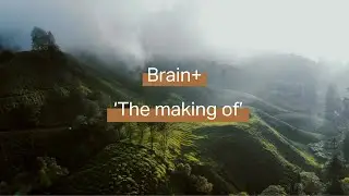 The making of Brain+. Voedingssupplement voor het brein.