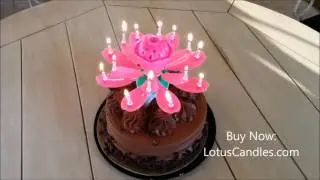 Pink Lotus Candle on Chocolate Cake!