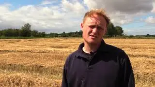 Dette bliver nok den andenbedste høst på fem år