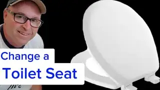 How to Change a Toilet Seat