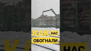 Финны Россию обогнали - по экспорту леса? 😲