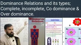 Dominance Relations:Complete, incomplete, co dominance and over dominance Relationship