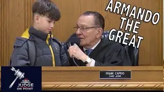 Трехсекторный спор: Армандо против протокола о нарушении акустики птиц 🌑🦜⚖️