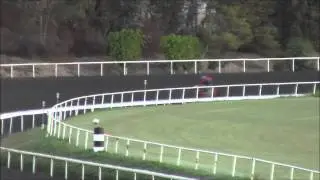 Blinkers On Horse Racing Partnerships Stole a Kiss 9/23/13