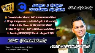 Botalpha I cross market Capital Transfer Start Now l Botalpha Biggest Updates #TLC update #arbitrage