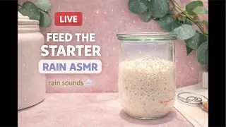 LIVE: Feeding My Sourdough Starter + Rain ASMR 🌧️🥖 (Watch It Rise)