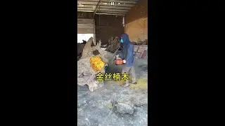 Jin Sinnan root carving tea table manufacturing process