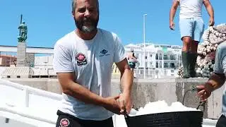 Salida de pesca del atún rojo de Tarifa