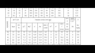 Atributos Diagnósticos do solo