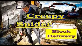 Creepy spider & Pond Block delivery