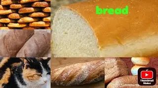 Zombiecat breaks his game with bread #bringbacksprites @Dakblake