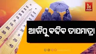 Odisha Weather Update: Temperature to Rise in Night Time, Fog Alert Issued By IMD | Panipaga Khabar