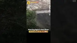 Warning Signs in Ravi River: Wood Mafia at Work