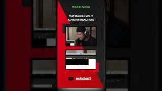 Seagull Vol:2 - Ko Roar [Reaction]  #reaction #mixbull