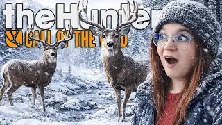 Wir stellen uns der COTW-CHALLENGE! 🏆 🏞️ | theHunter Call of the Wild