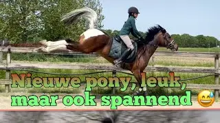 Een nieuwe pony, leuk, maar ook spannend, afscheid Dapple definitief!