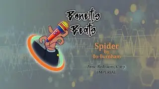 Karaoke - Bo Burnham - Spider