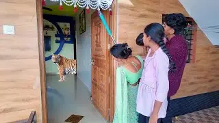 घरात बिबट्या घुसला अनं सगळी धावपळ झाली 🫣#भांडण 