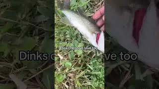 sometimes the only thing saving a 🦨 skunk #fyp #trending #shorts #bass #dinks #subscribe