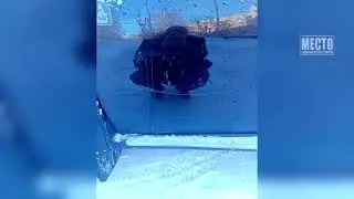 Месть шумного соседа  Поцарапал Дастер