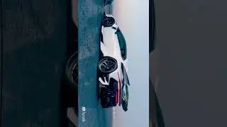 Lamborghini shorts 😎