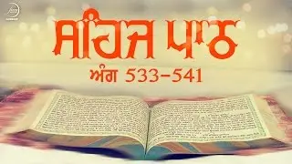 Sehaj Path Ang 533 To 541 | Bhai Sarwan Singh | Fizza Records Gurbani