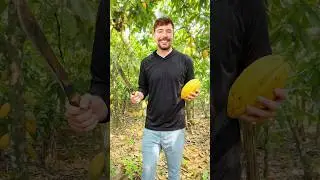Как Шоколад Может Изменить Жизнь Ребёнка
