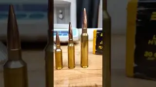 300PRC First Hand Loads-220gr Berger Hybrid Targets @ 2880FPS. What&rsquo;s not to like?