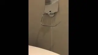 WipeMeWolrd Flushable Wet Wipes on a roll