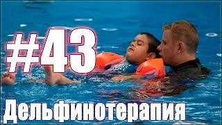Дельфинотерапия. Занятие №43