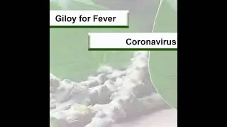 Health benefits of giloy #diet#immunitybooster#coughremedy#shorts