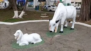 Mostrando para voc&ecirc;s a pra&ccedil;a Dairiy Walley em Itapetinga Bahia.