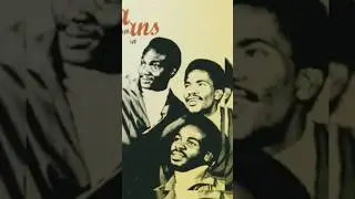 Things you say you love, The Melodians.