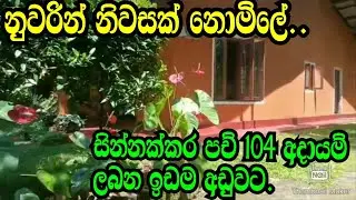 නුවරින් නිවසක් නොමිලේ ,,පච් 104 අදායම් ලබන ඉඩම අඩුවටම ,Kandy Land/Aduwata Idam/Kandy House