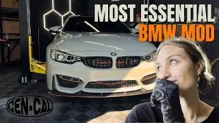 MY F82 IS BACK ON THE LIFT!!! Driving a Single Turbo 335i